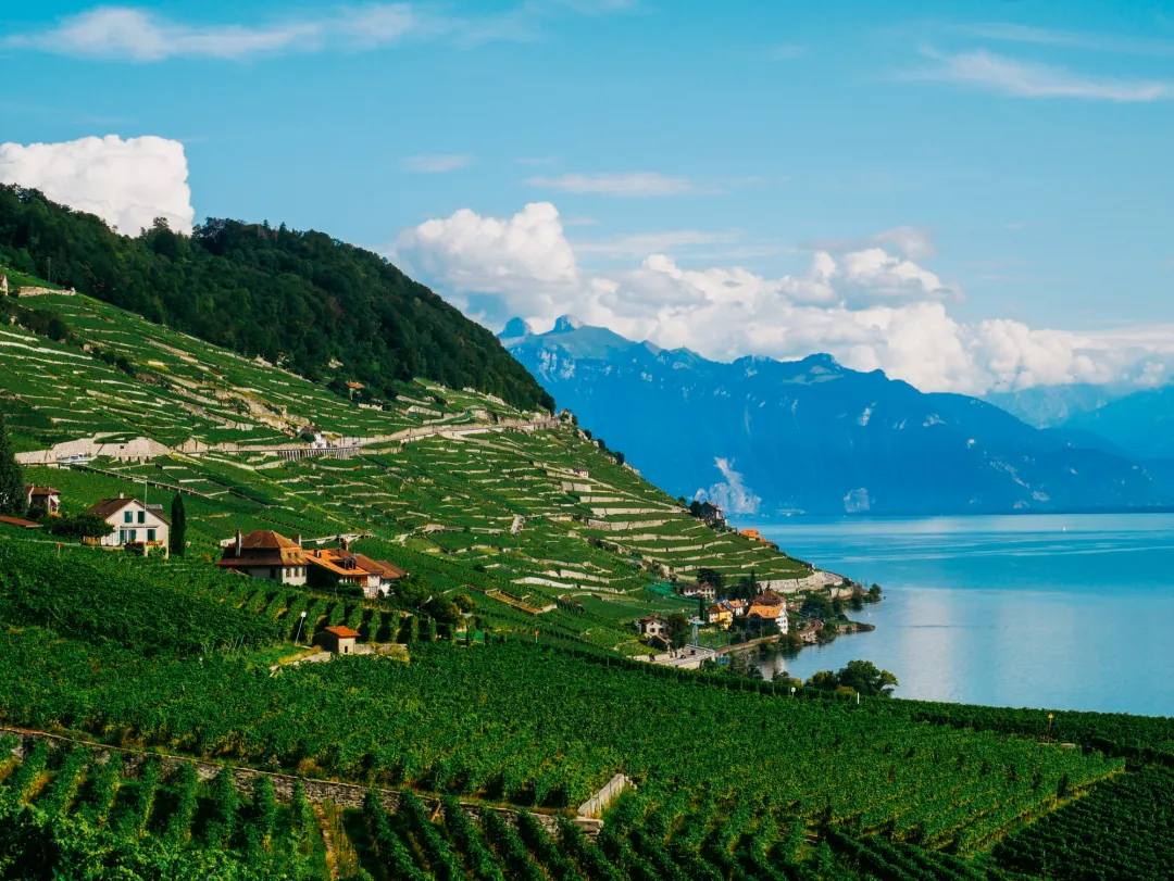 La Richesse Culturelle des Rives du Lac Léman : Entre Genève, la Suisse et la France